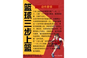初学者如何进行规范的篮球训练:全面提升篮球技能的实用指南